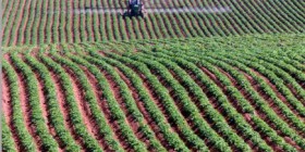 Vite, un plan agriculture-énergies renouvelables